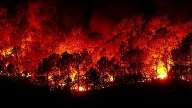Contaminación por incendios forestales aumenta tasa de mortalidad