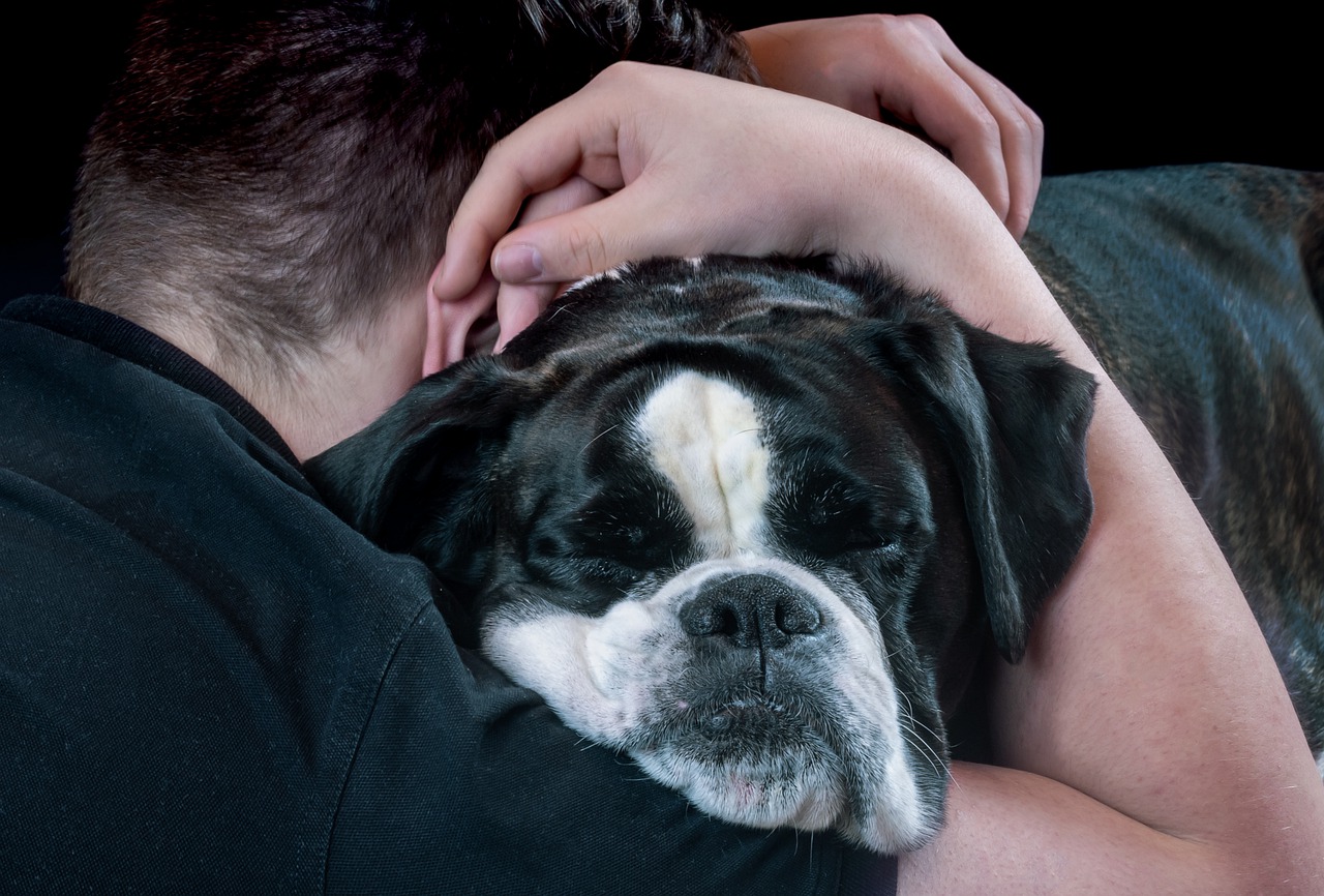 Do dogs like to be hugged?  Science responds